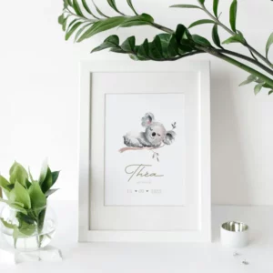 Collection "Koala à l'aquarelle"