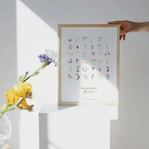 Alphabet
